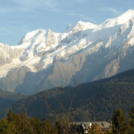 Chalet Les Chouchous パッシー エクステリア 写真
